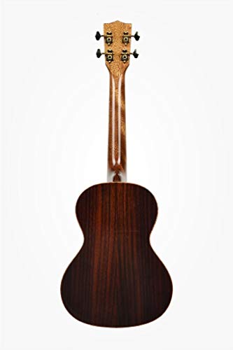 KALA KA-SPT-SC – Ukulélé ténor Solid Spruce Scallop Tenor avec cutaway avec étui (UC-T) - Les Beatles, Paul McCartney, John Lennon, RIngo Starr, George Harrison KALA KA-SPT-SC - Ukulélé ténor Solid Spruce Scallop Tenor avec cutaway avec étui (UC-T) – Image 3