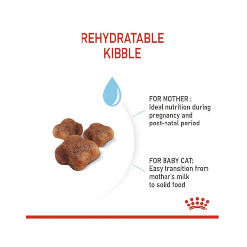 Royal Canin Mother & Babycat Trockenfutter | Doppelpack | 2 x 400 g | Für tragende und säugende Katzen | Alleinfuttermittel speziell für die Mutterkatze und ihre Welpen