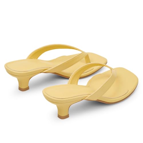 Image of Dsevht Kitten Heels for Women Jelly Square Open Toe Sandals Flip Flop Heel Summer Low Heeled Thong Sandals