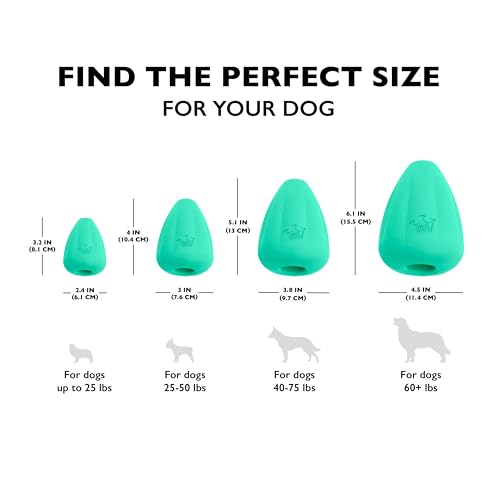 Chew King Premium Treat Hundespielzeug XL, extrem strapazierfähiges Naturkautschukspielzeug, 2 Stück, alle Rassengrößen