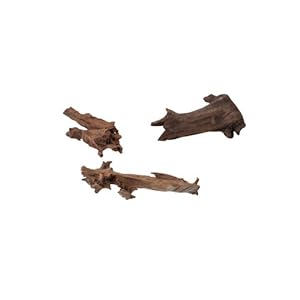 Aqua Della della Decorazione in Legno, da 15 a 25 cm, Jati