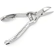 Piglet Teeth Cutter, 14cm/ 5.5in Premium Stainless Steel Pig Tooth Nipper Teeth Clipper for Home, Farm
