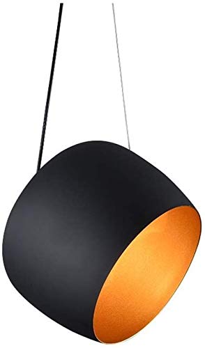 Lustre moderne anniversaire cadeau idéal de créateur pour salon