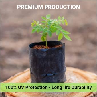 Image of Agritech Black Nursery Cover /Plant Grow Bag - 250 Nos (8x12, 250)