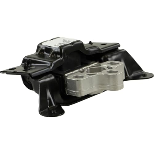 Rein - Transmission Mount