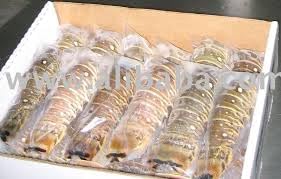 Warm Water Lobster Tails- [FROZEN] ((4) 10-12 oz Warm Water Lobster Tails- [FROZEN])