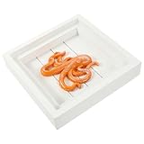 Décoration de salle de bain sur le thème de la plage : style rustique, finitions soignées et matériaux de qualité, un rendu esthétique et artistique