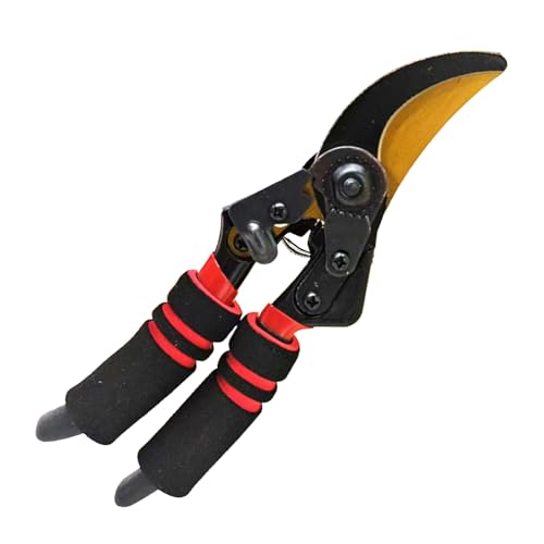 TQEBWUS ΂ | 蓮|H,pAJb^[ ŊH - 荞݂ƎƐؒfp O뉀̐AAԁA_AA