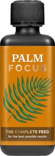 Growth Technology Ltd Black Palm Focus 300 ml