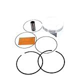 Briggs & Stratton 795858 Lawn & Garden Equipment Engine Piston Kit Genuine Original Equipment Manufacturer (OEM) Part