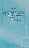 Human Rights in the Emerging Global Order: A New Sovereignty? (International Political Economy Series)