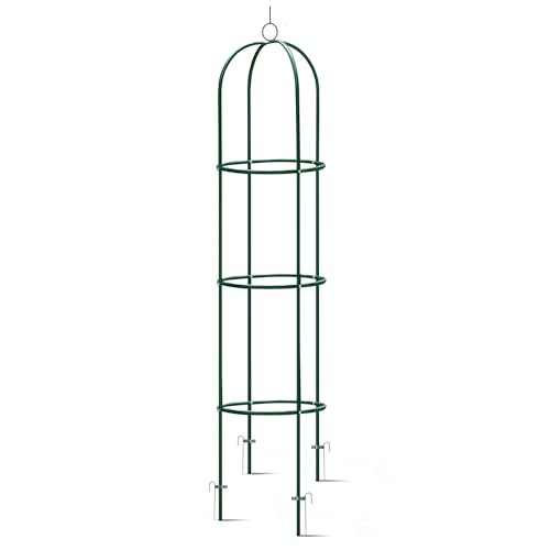 Plonos Rankhilfe 200 cm Kletterpflanzen Rosenspalier 4 Erdanker Stahl Pulverbeschichtet Witterungsbeständig UV Beständig Dunkelgrün