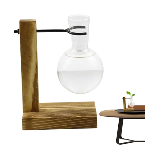 Vasi di propagazione per piante, stazione di propagazione 'acqua - Stazione di propagazione trasparente con rack idroponico per tubo di prova in legno - Vasi vasi di contenitore idroponico per i decor