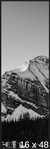 Frame It Easy 16 x 48 Satin Black Metal Frame (Ashford)