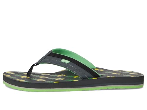 Sanuk Men's Ziggy X Ben Gravy Flip-Flop4