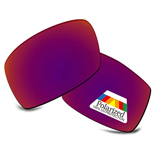 Verres rechange polarisés Electric Mudslinger Bwake optique