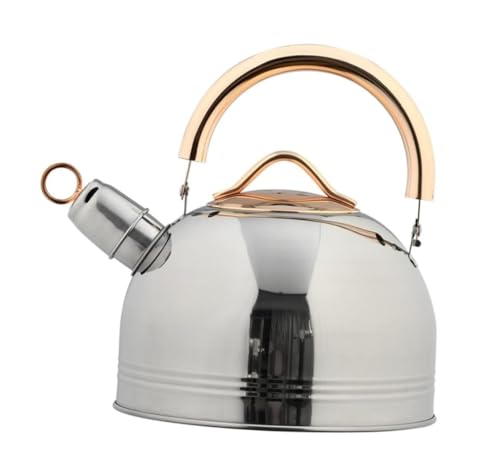 Bouilloire à gaz avec haut bouillonnement rapide pour théière