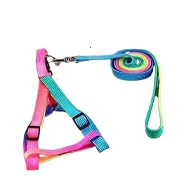 PSK PET MART Colorful Adjustable Nylon Puppy Leash Harness, Suitable for Puppy Only (15 mm Multicolor)
