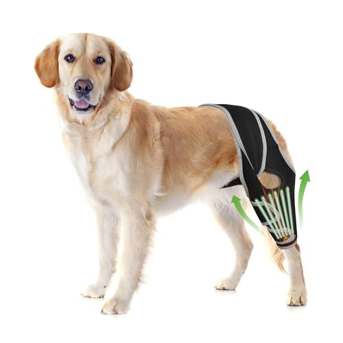 Image of Dog Knee Brace for Back or Front Leg Support, Adjustable ACL Stabilization for Extra-Large Dogs, Helps Protect Joints and Strengthen Weak or Injured Legs - Size XXL