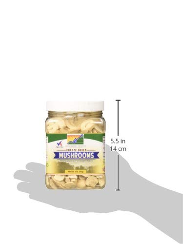 https://m.media-amazon.com/images/I/31yvmDUy6mL._SL500_.jpg