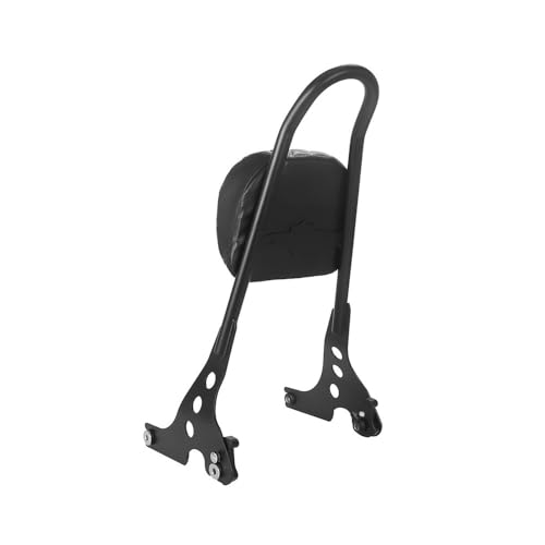 Coussin de dossier passager arrière détachable Sportster