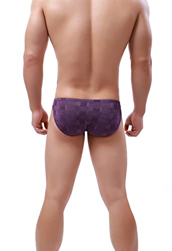 iKingsky Men's Four Way Stretch Briefs Soft Bulge Underwear Sexy Low Rise Pouch Underpanties for Men4