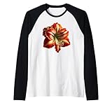 Stylish Amaryllis Flower Shapes Mania