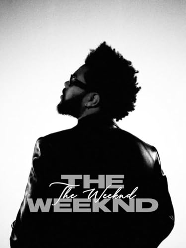 Image of Pack of 15 Cute Stickers for Laptops /Mobiles /Guitar /Journal etc. (The Weeknd)