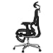 FLEXISPOT ErgoX Premium Ergonomic Office Chair with Footrest- Adjustable 3D Armrests, Dynamic Lumbar Support, Recline & Tilt Function, Mesh Seat, for Home & Office Use,Black