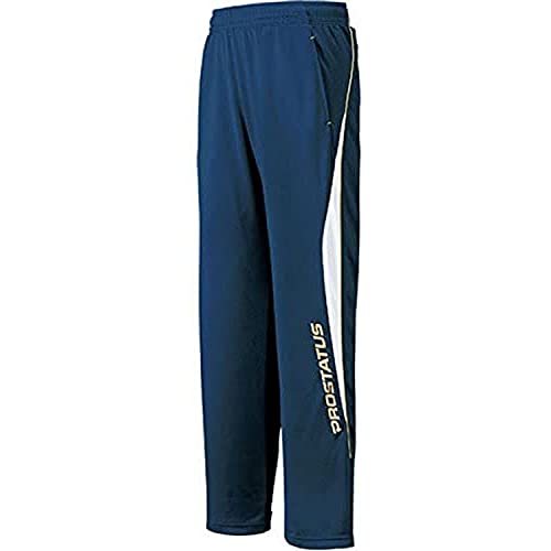 ZETT 野球 プロステイタス プロステトレーニングパンツ 防寒用 BPRO210P ネイビー 2XO