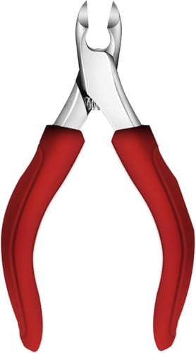 Mearrineser ̒ܐ؂-Nzĵ߂̏vȐ̌́ANz/j/̂߂̑傫́AnhtĂSŁAv (bh)