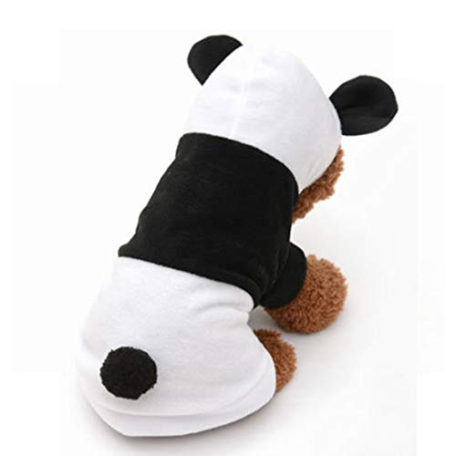 10 Adorable Small Dog Panda Costumes for Your Furry Friend A