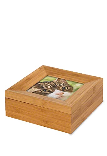 Urne-animal cadre photo souvenir précieux de votre fidèle compagnon