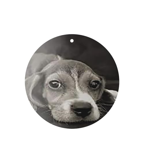 2パック 吊り下げ式車用芳香剤カード - 長持ちする吊り下げ式アロマテラピーカード (ラベンダーの香り) 車、自宅の寝室、ワードローブ、靴箱などに最適 ユニセックス(犬のビーグル品種マグクププフォトマグ世界)