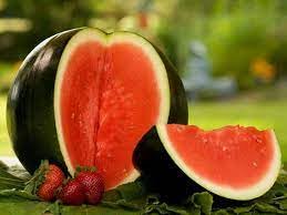 100 Seeds- Sugar Baby Watermelon Seed for Planting - Packet with Instructions to Plant and Grow Little Round Watermelons in Your Home Vegetable Garden - Non-GMO Heirloom Variety (B0CCF5B536) Amazon Price History, Amazon Price Tracker