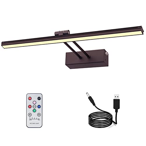 Image of HEAGEERO Picture Light,20in Wall Light,5000mAh Art Light | Remote Timer and Dimmable Wall Sconces,Painting Light for Display,Artwork,Portrait,Gallery-Black