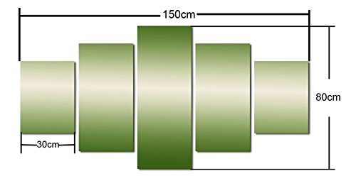 Empowered Living - 5Pcs Framed Arnold Schwarzenegger Empower Inspire Canvas - Empower Inspire Motivational Wall Art For Office/Home Wall Decor (Large: 30 * 50Cm X2Pcs+30 * 70Cm X2Pcs+30 * 80Cm X1Pc) #TOP6