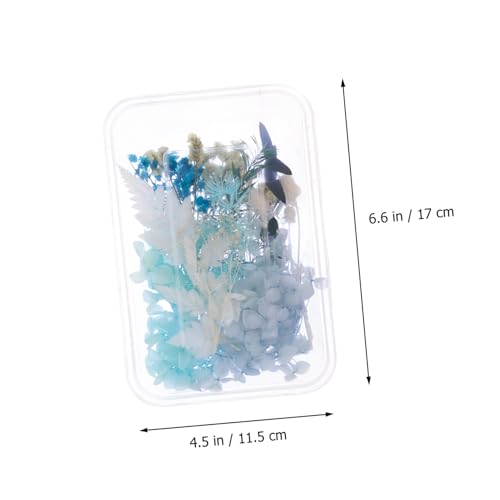 Real Dried Flowers Material para Manualidades Kit miniatura 2