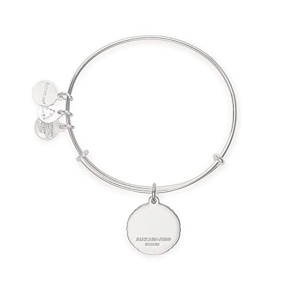 Alex and Ani Connections Expandable Bangle for Women, What Is For You Will Not Pass You Charm, Shiny Silver Finish, 2 to 3.5 in