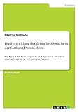 Grin Verlag