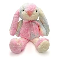 Numyawl Rainbow Bunny Teddy Plush Toy, 25cm Cuddly Toys For Girls And Boys, Rainbow Soft Bunny Toys For Kids To Snuggling, Ideal Rabbit Teddy Gift For Birthday,Easter,Christmas,3 Age+
