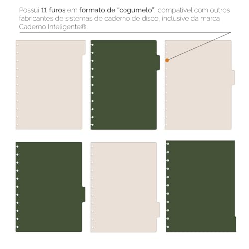 Divisórias Iscool P/Caderno De Disco G Spot Nude Claro e Verde Militar