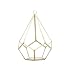 WGV Tear Drop Triangular Geometric Glass Pannel Terrarium