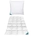 Produktbild Sandaro Home Daunendecke 155x220cm (1400 Gramm) Mit Kopfkissen 80x80cm Daunen 3 Kammern (1600 Gramm) Gefüllt Mit Hochwertigen Daunen Für Besondere Weichheit Und Komfort Das Ganze Jahr über