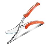 Newness Tijeras de Pollo Tijeras de Cocina, 304 Acero Inoxidable Pollo Tijeras con Bloqueo de Seguridad, Tijera Multifuncional para Aves de Corral, Pollo, Carne, Pescado, Naranja