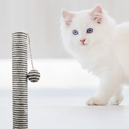 Rascador para gatos FAVOMOTO vertical con cuerda de sisal negro miniatura 6