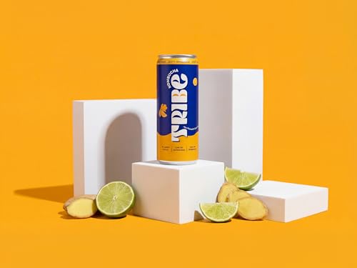 Image of Tribe Kombucha Probiotic Super Drink | Supports Gut Health | Gluten-Free | Naturally Fermented | Super Refreshing | Gut Friendly | Improves Blood Sugar | Antioxidant and Hydration | No Added Sugar |250 ML X 2 (ZESTY GINGERADE + BUSSIN LAVENDER)