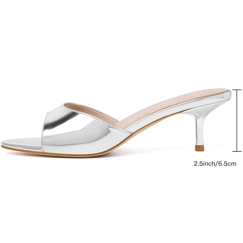 Image of Mostrin Kitten Heels for Women Pointed Toe Vintage Mules Heels Sexy Slip on Stiletto Backless Sandals for Party Wedding Daily
