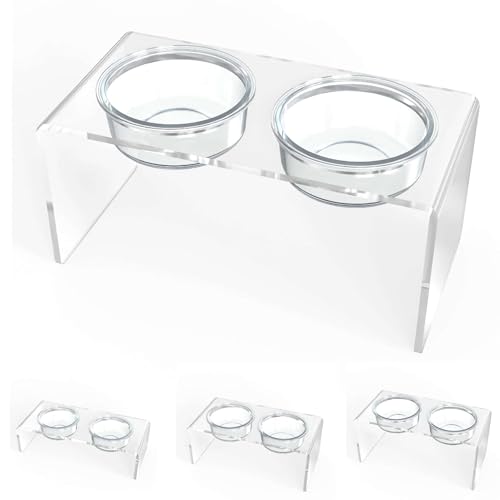 Clearly Loved Pets Modern Acrylic Glass Bowl Feeders, Standard Style, Double Bowl, Clear
