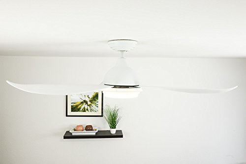 Ventilador de techo de bajo consumo Pepeo Raja elegante con 3 palas 3